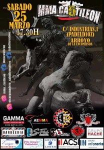 mma castileon ene23