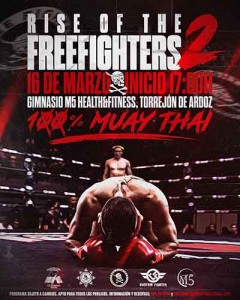 freefighters 2