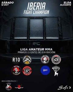 iberia fight