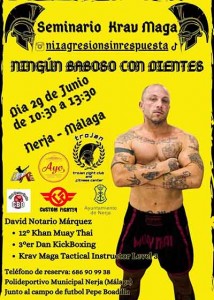 seminario krav maga jun24